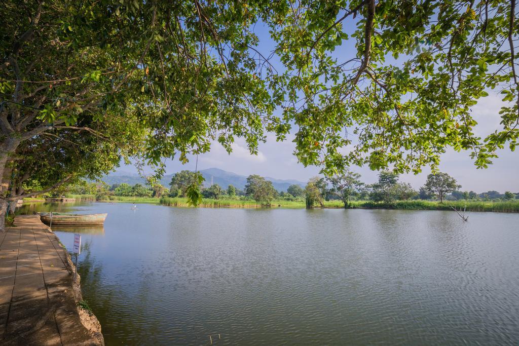 Mps Village Dambulla Zewnętrze zdjęcie