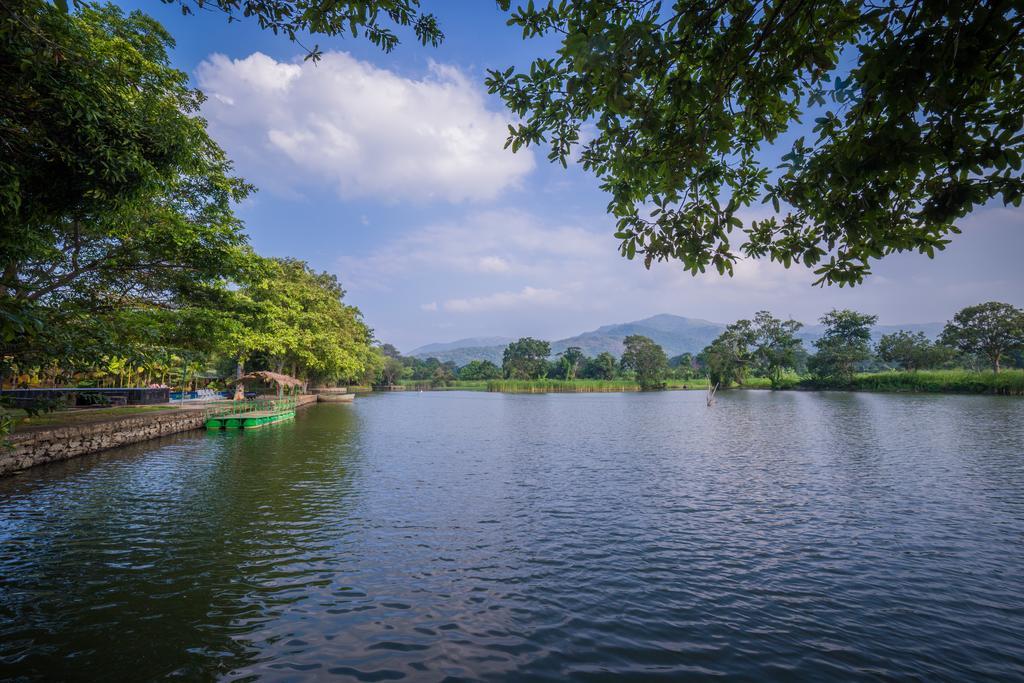 Mps Village Dambulla Zewnętrze zdjęcie