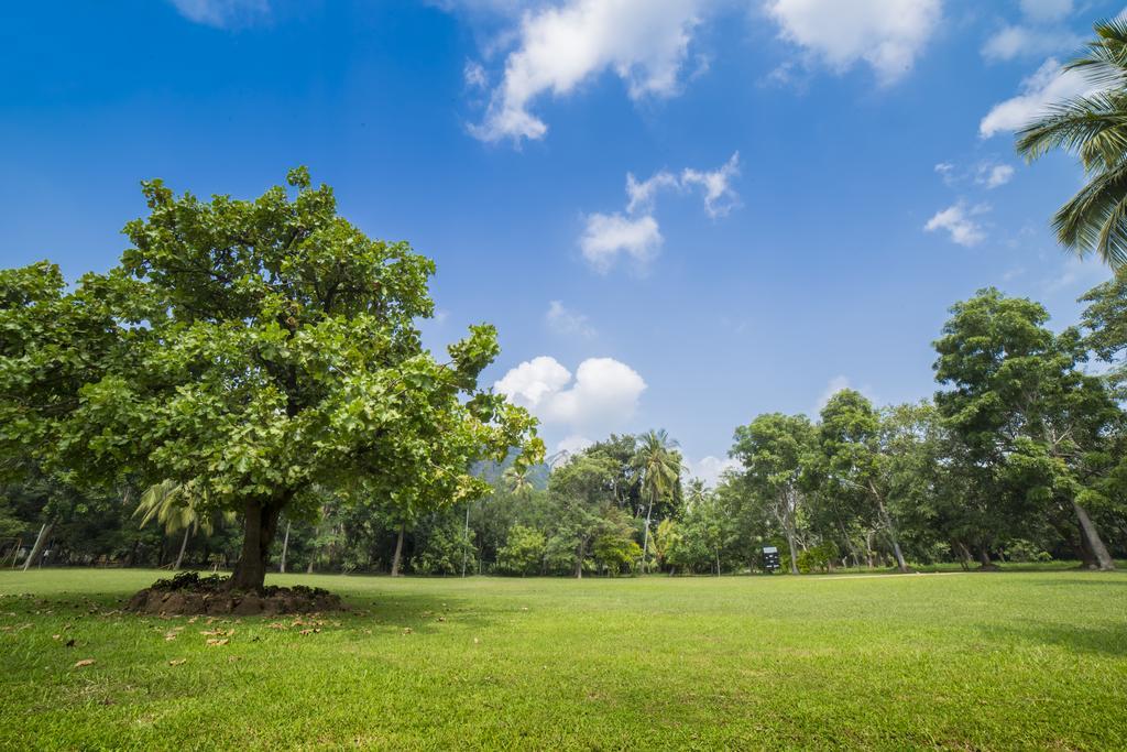 Mps Village Dambulla Zewnętrze zdjęcie